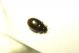 DSC07837.jpg