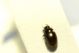DSC07789.jpg