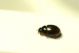 DSC07788.jpg