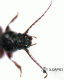 20150419_097.gif