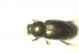 DSC07939.jpg