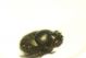 DSC07951.jpg