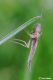 DSC_6300.jpg