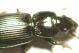 DSC07978.jpg