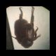 rps20150503_012204_622.jpg