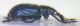rectangle_New-Out99999 (1024x344).jpg