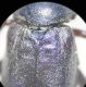 DSCN0762.JPG