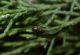 DSCN9700.JPG
