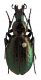 Comb1623_21zF7Tcr.jpg