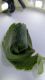 DSCF8475.JPG
