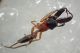 LM_20100404_2840.jpg