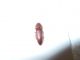 DSCN2626.JPG