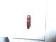 DSCN2627.JPG