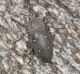 DSC_0746_19-v-15.JPG