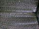 Onthophagus-elitre.jpg