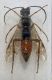 DSCF1751.JPG