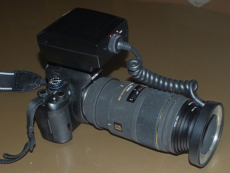 Olympus_ring_flash_150mm.jpg