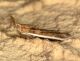 IMG_7993 copia.JPG