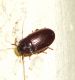 DSC00309.jpg