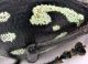 Comb1679_24zF3cr.jpg