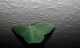 20150611_000509.jpg