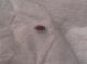 20150606_103702.jpg