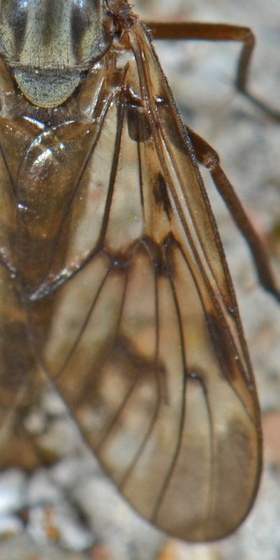 AMPULLA020615 078mod.jpg