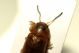 DSC08867.jpg