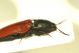 DSC08857.jpg