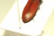 DSC08856.jpg