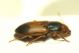 DSC08915.jpg