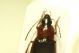 DSC08929.jpg