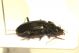 DSC08939.jpg
