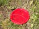 DSCN2906_s.JPG