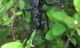CI 27_06_2015 13_50_08.jpg