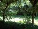 100_7064.JPG