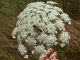 100_7094.JPG