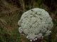 100_7103.JPG