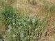 100_7081.JPG