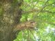 100_7106.JPG