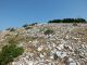 Monte_Lupone_22-07-2015_Fu_012.JPG