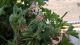 WP_20150725_14_55_48_Pro.jpg
