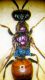 DSCF8531.JPG