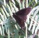 DSCF2431.JPG