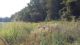 20150812_093427.jpg