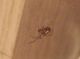 Unknown spider 02.JPG
