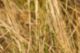 D000046.jpg