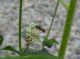 DSCN0944.JPG