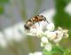 DSCN0950.JPG