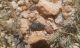 20150626_124942.jpg